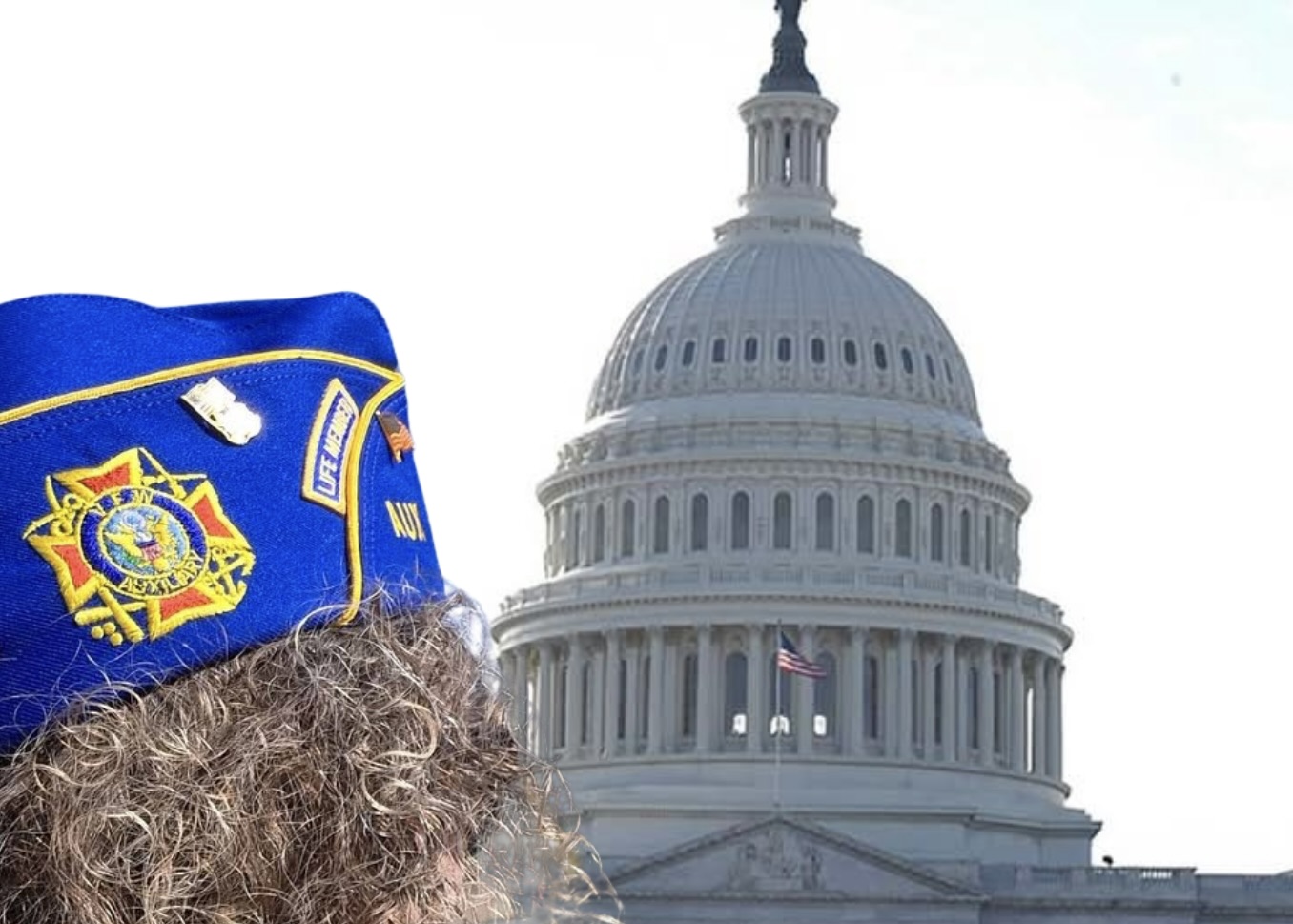 About Us Legislative